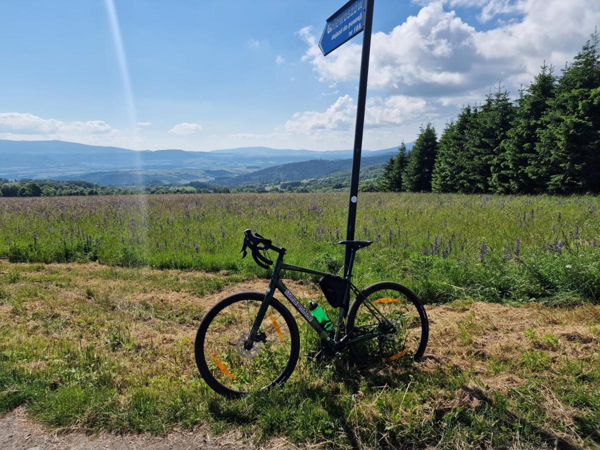 All Season Klimatyzowany Dom Przy Szlaku Z Prywatnym Tarasem I Widokiem Na Gory Orlickie - Sudety Sauna&Jacuzzi, Skalne Miasto Lasowka Luaran gambar